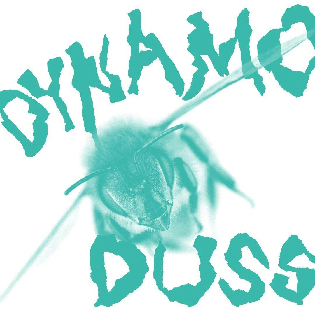Dynamo Duss