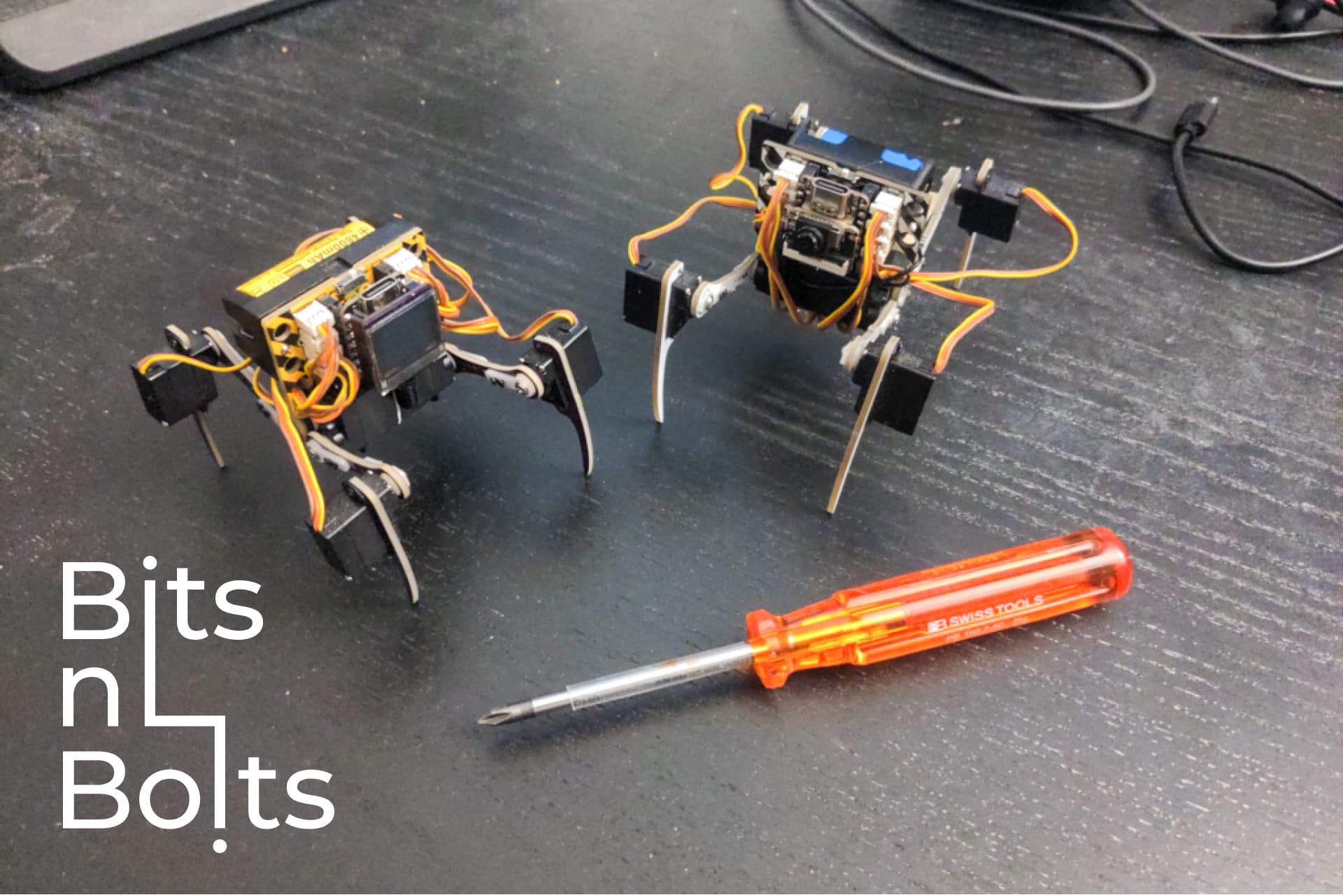 WeeBug Robot mit Radomir Dopieralski