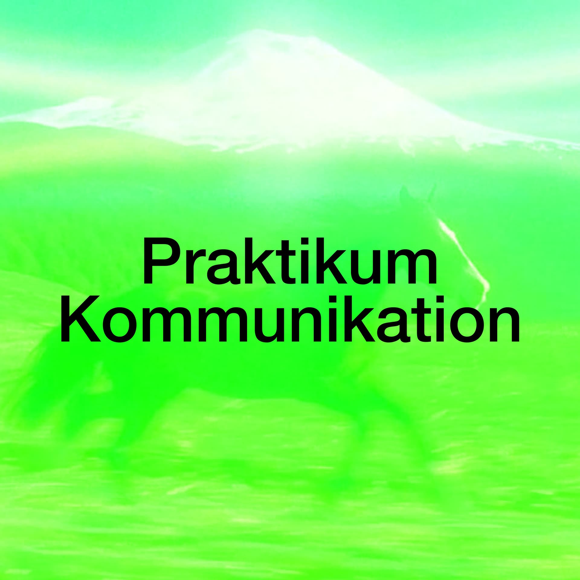 Dynamo Zürich Praktikum